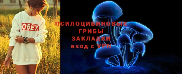 каннабис Арсеньев