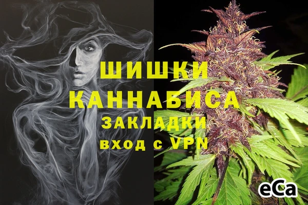 молекула духа Аркадак