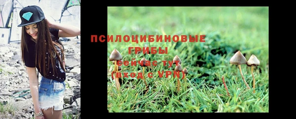 марки lsd Алексеевка