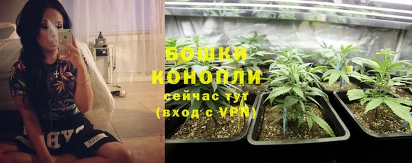 каннабис Арсеньев