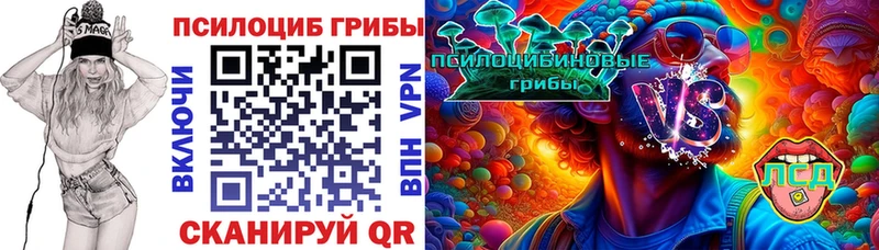 наркошоп Теберда Псилоцибиновые грибы MAGIC MUSHROOMS